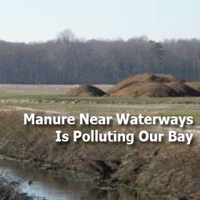 Manure Near Waterways